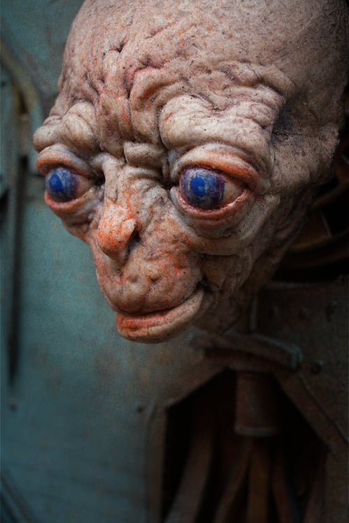 Alien Fei 2