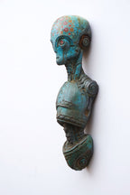 Anat Vert