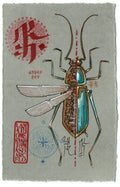 INSECT D1