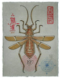 INSECT D2
