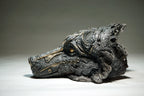 Llop Negre
