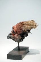 Ocell Roig