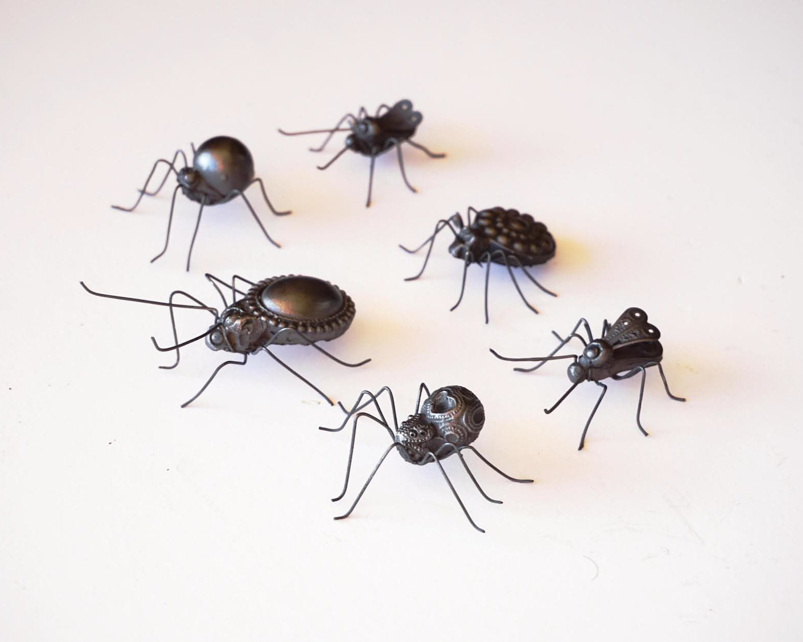 Petites Bestioles 2025