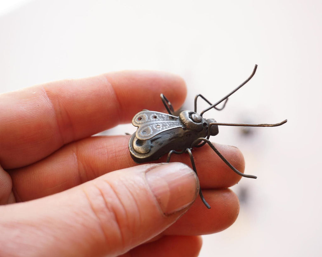 Petites Bestioles 2025