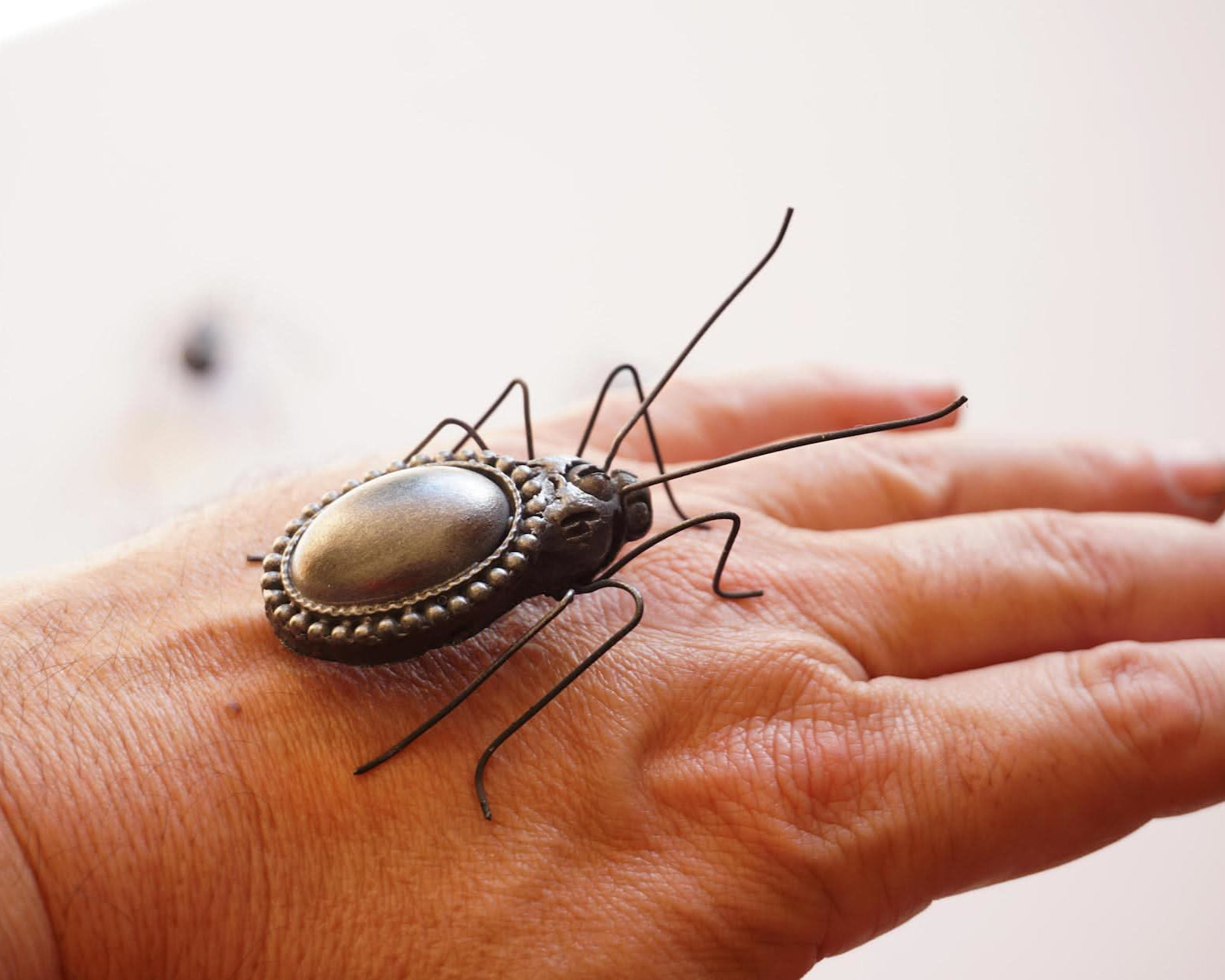 Petites Bestioles 2025