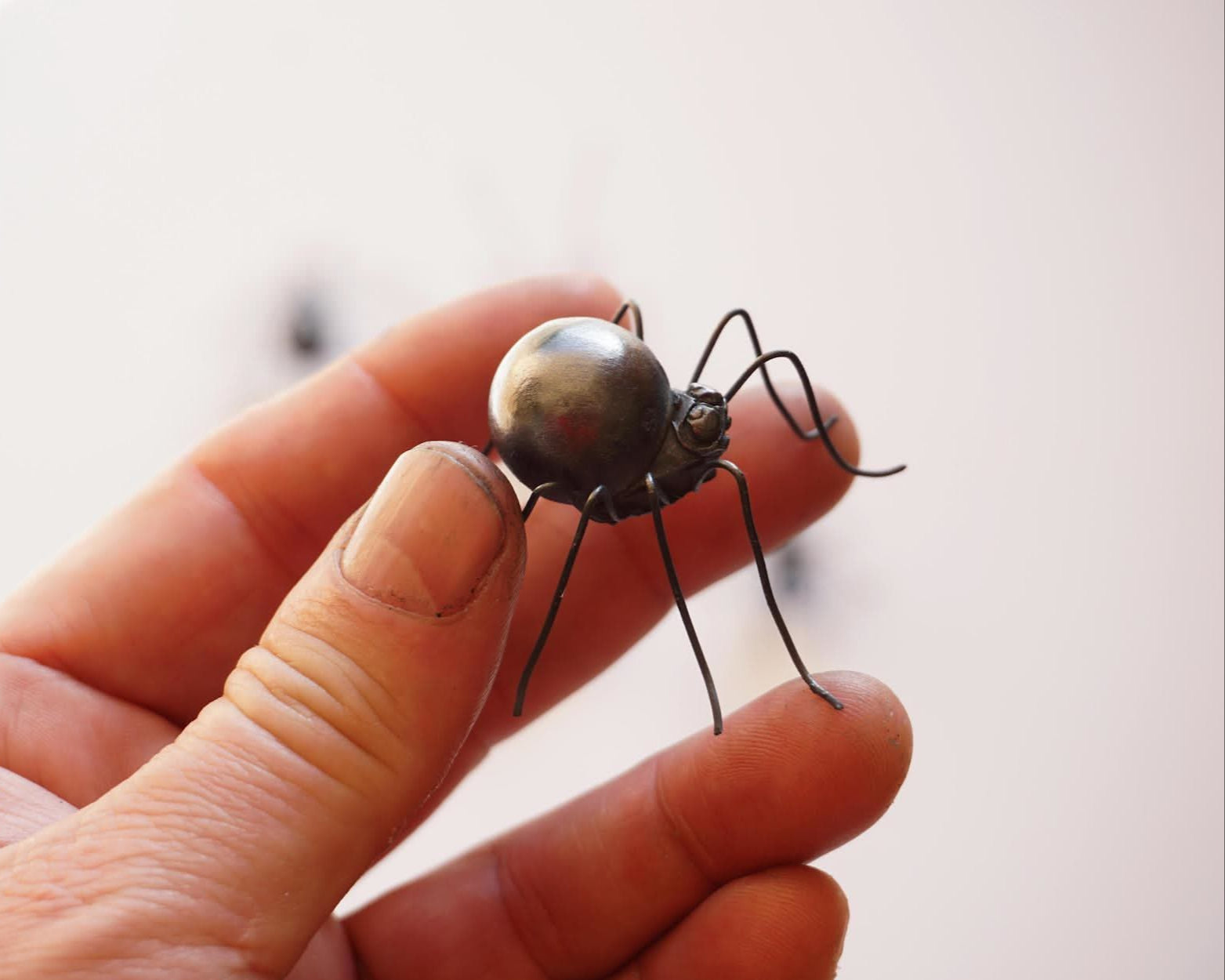 Petites Bestioles 2025