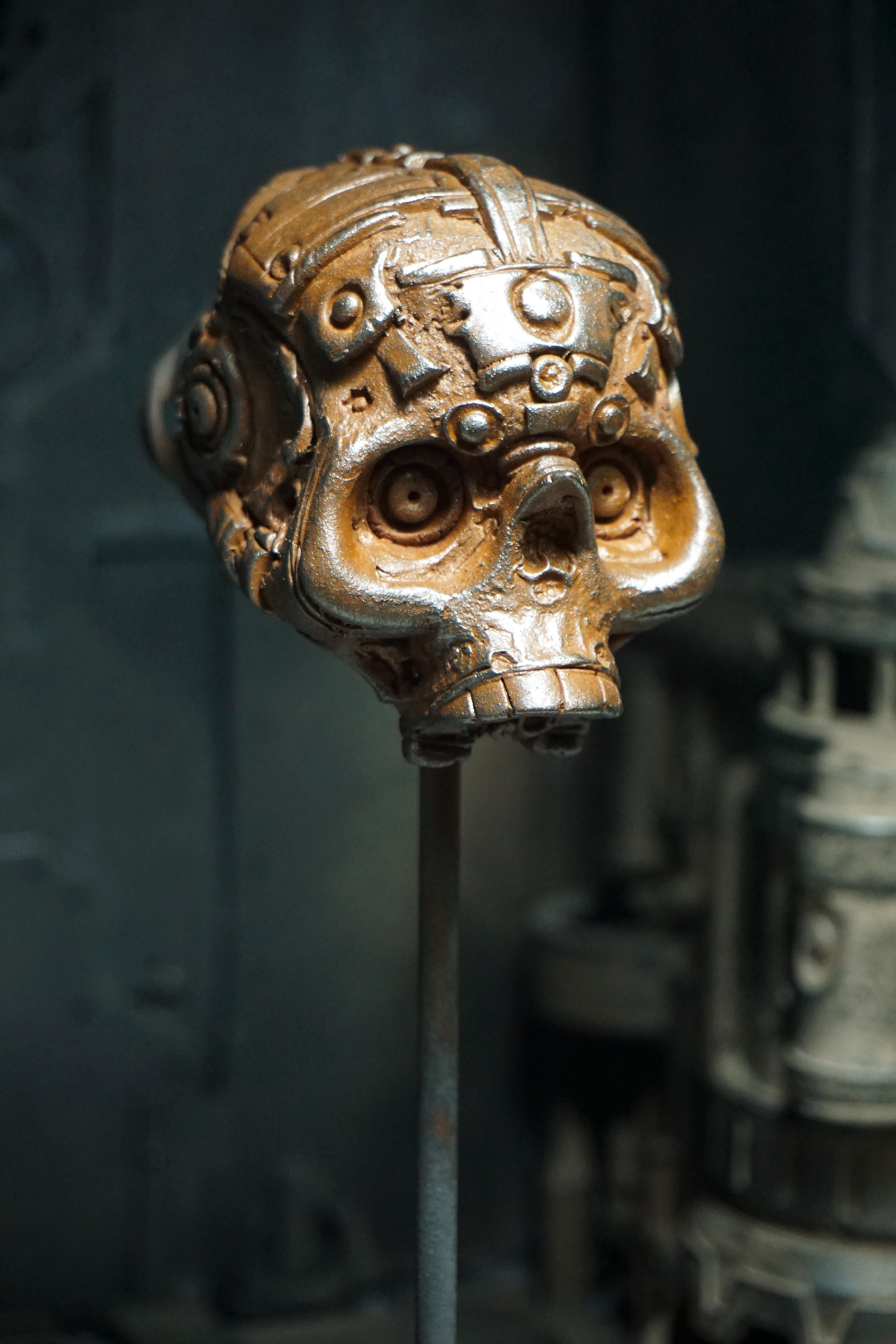 R Skull