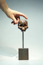 R Skull