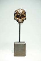 R Skull