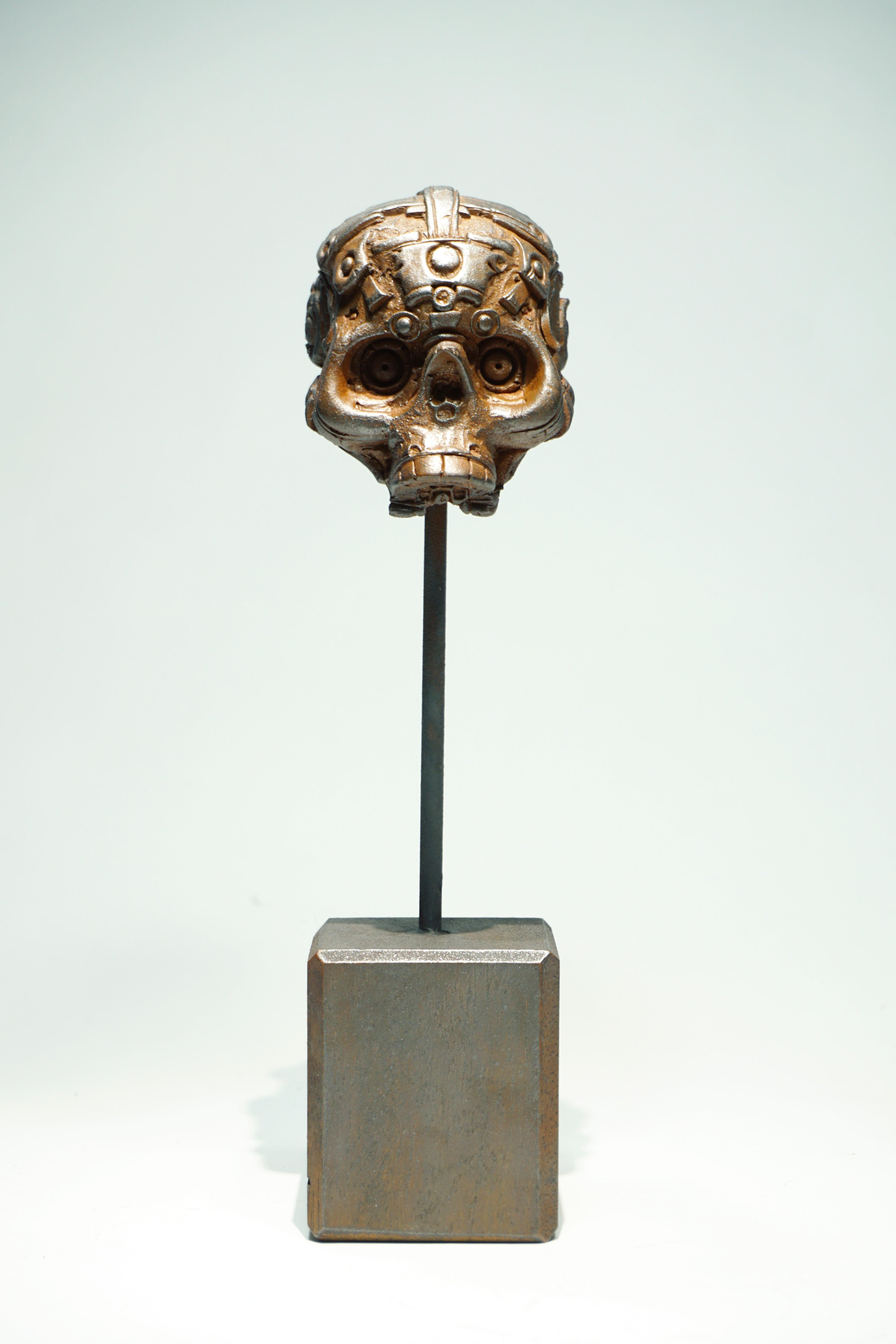 R Skull