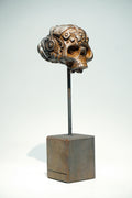R Skull