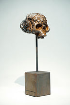 R Skull