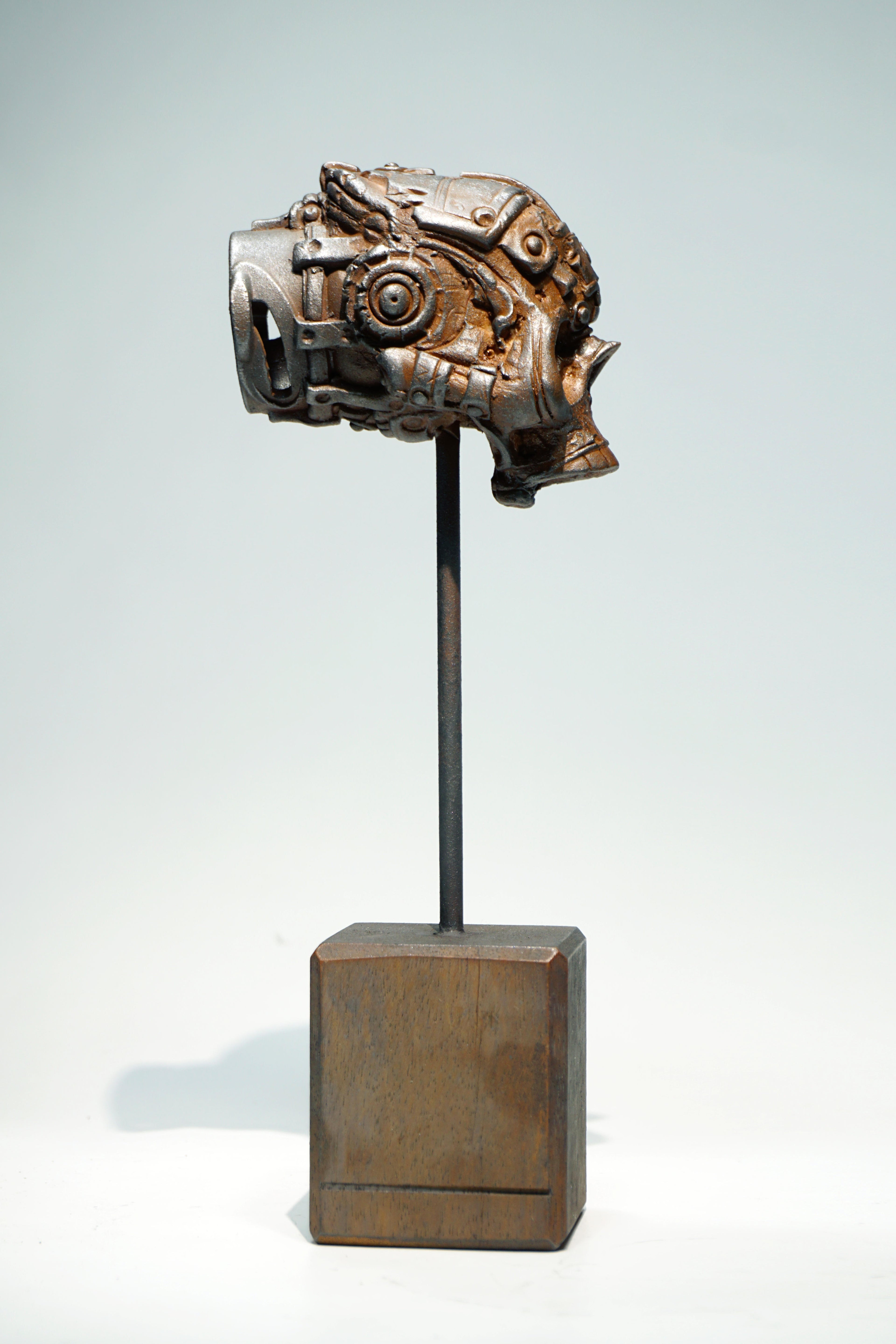 R Skull