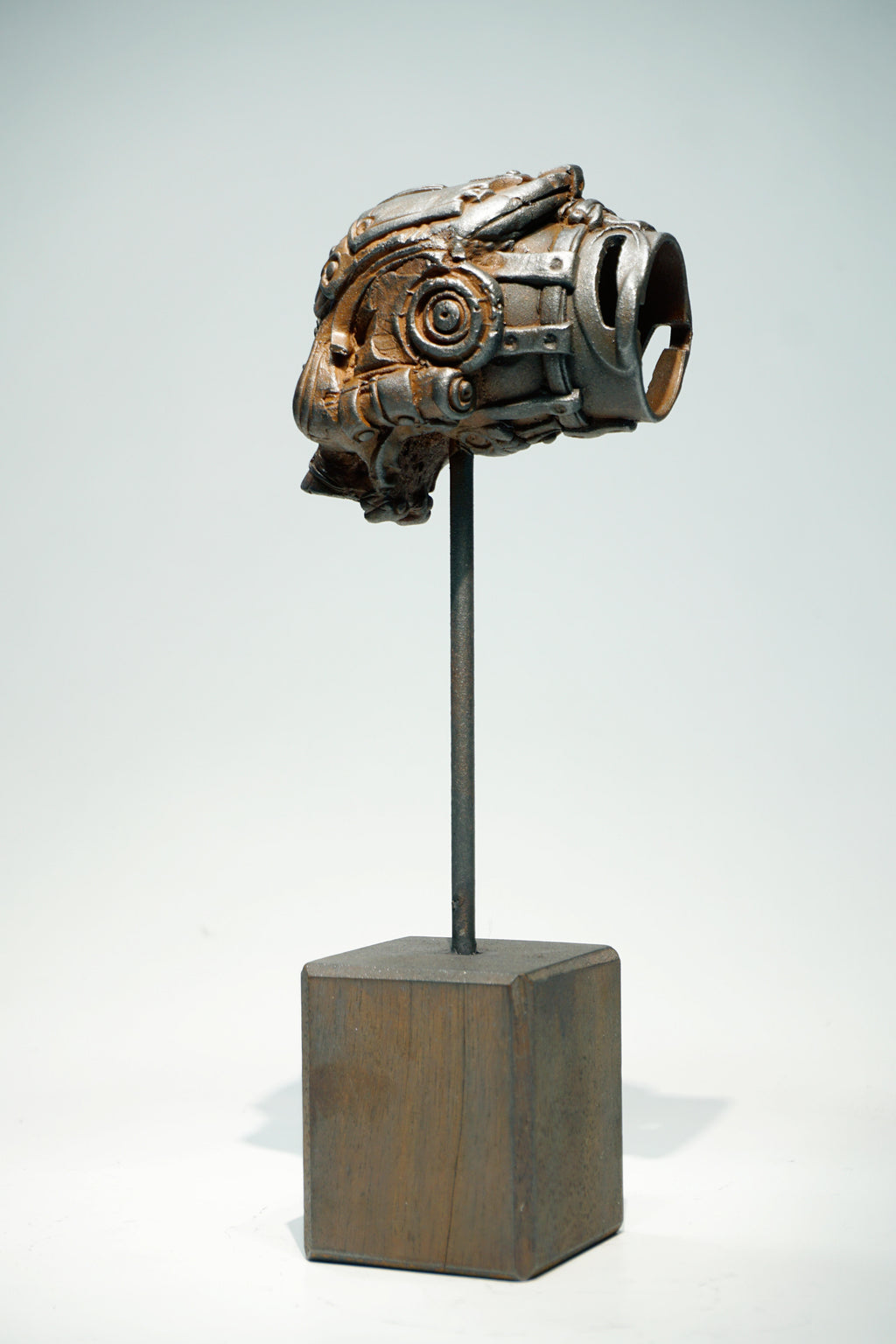 R Skull
