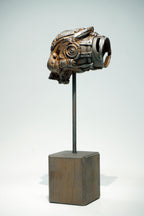 R Skull
