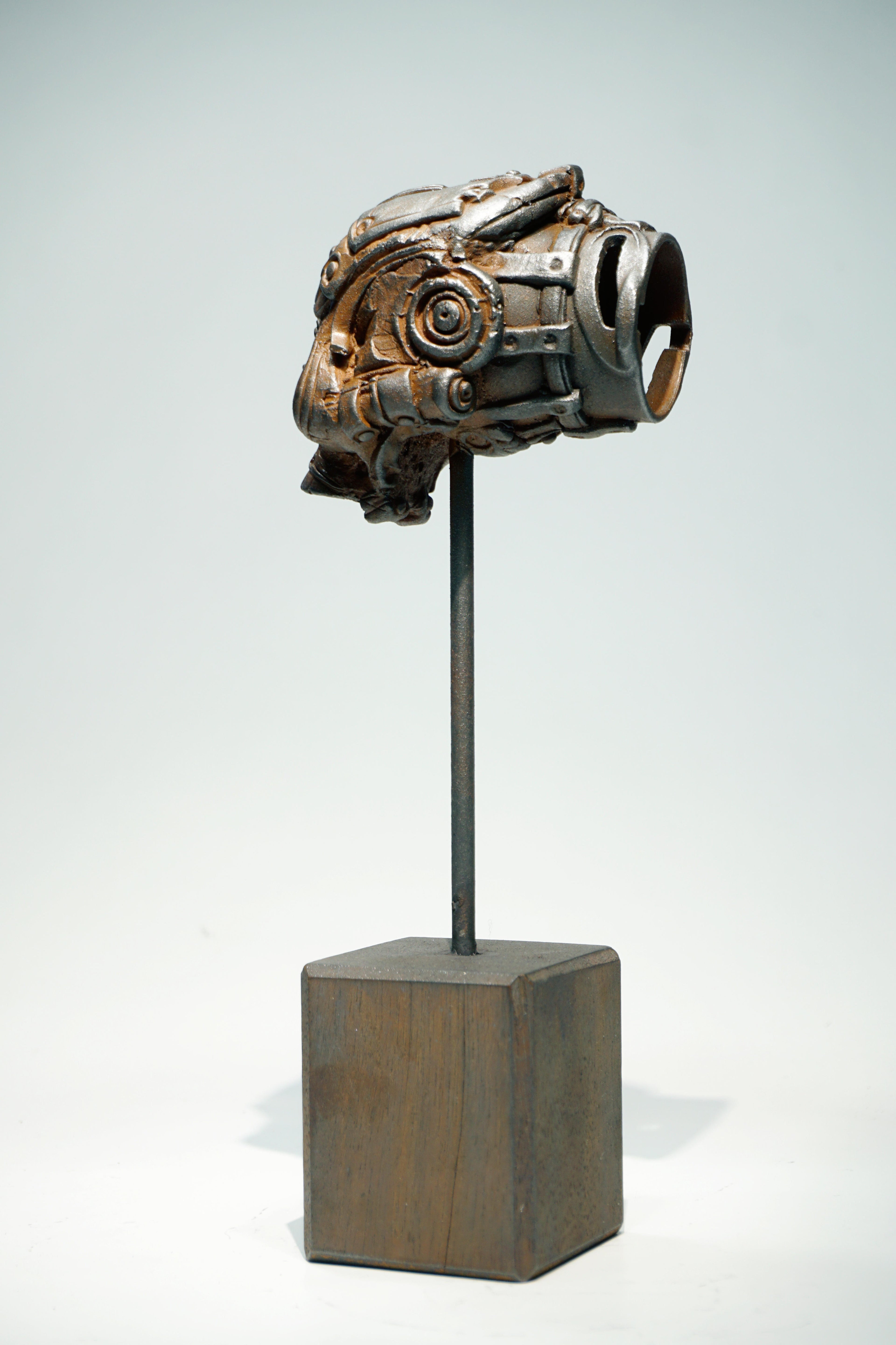 R Skull