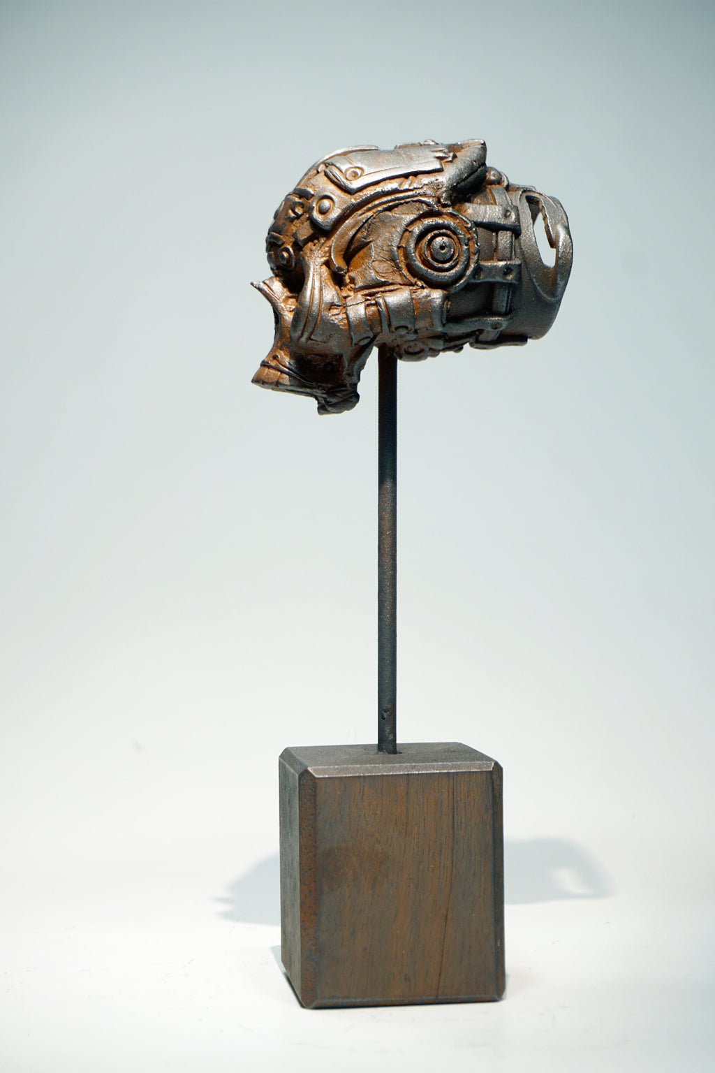R Skull