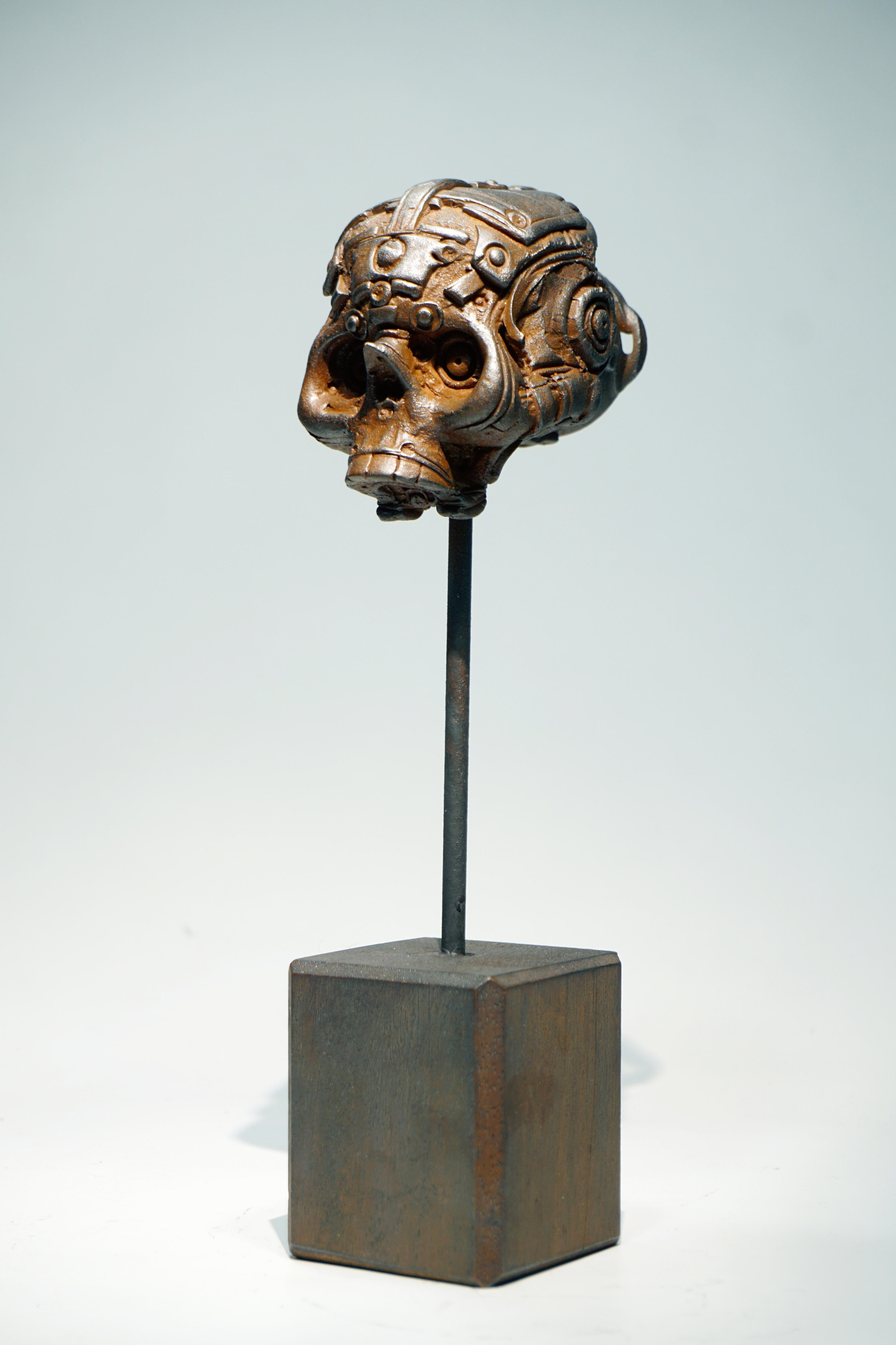 R Skull