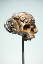 R Skull