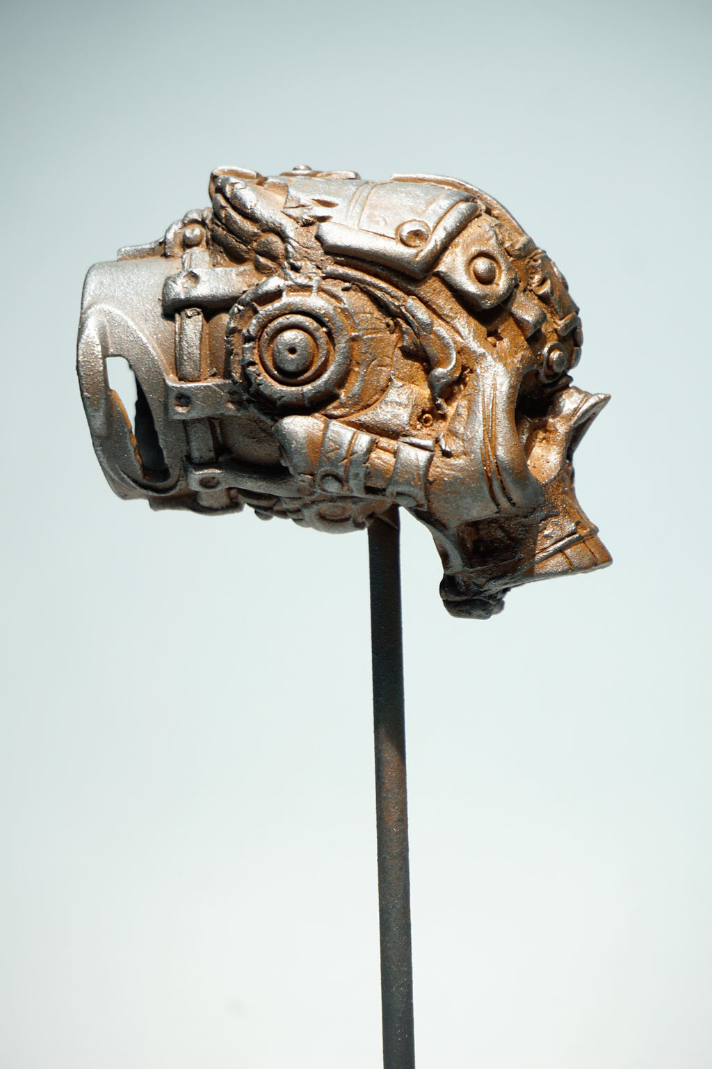 R Skull