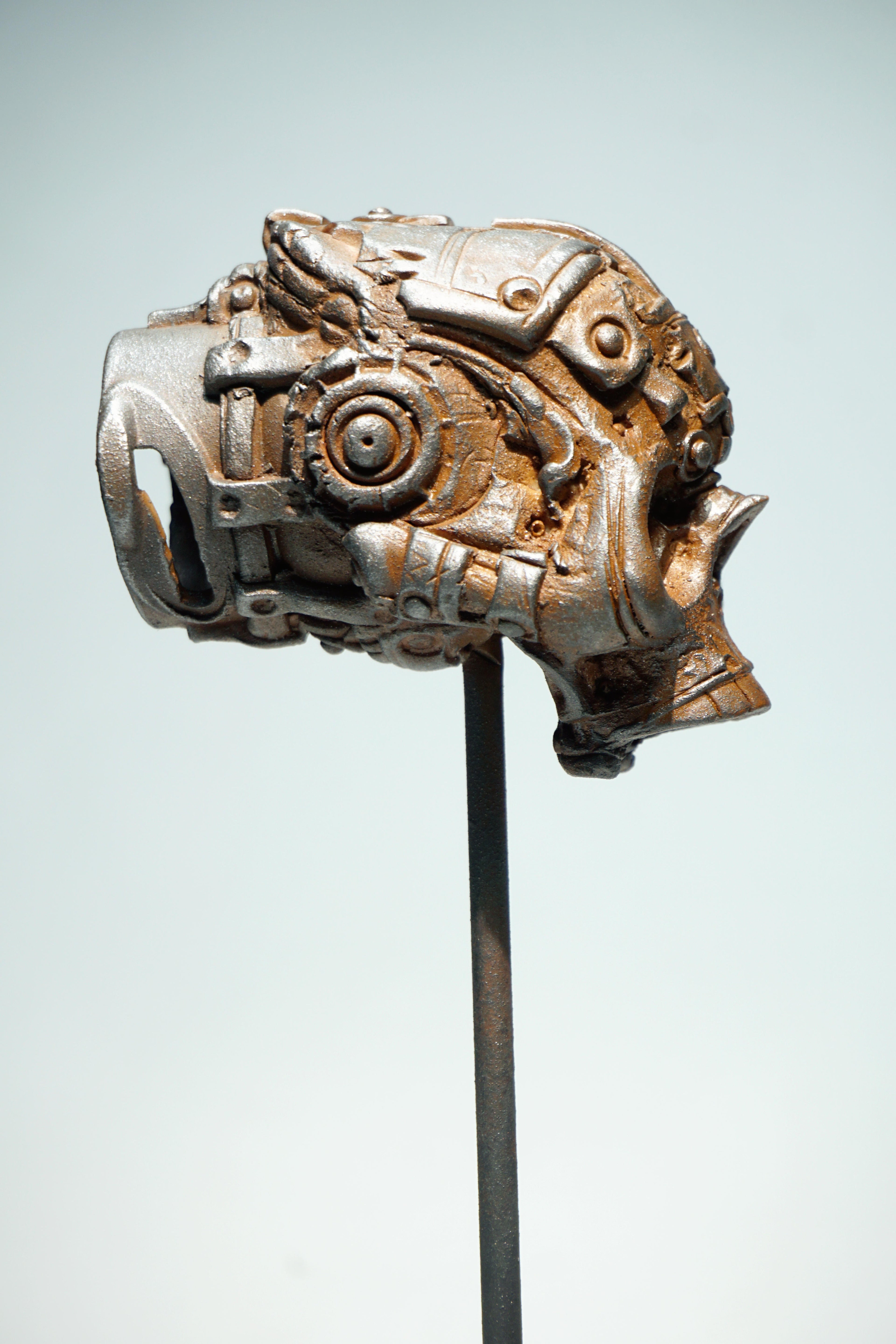 R Skull
