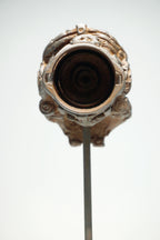 R Skull