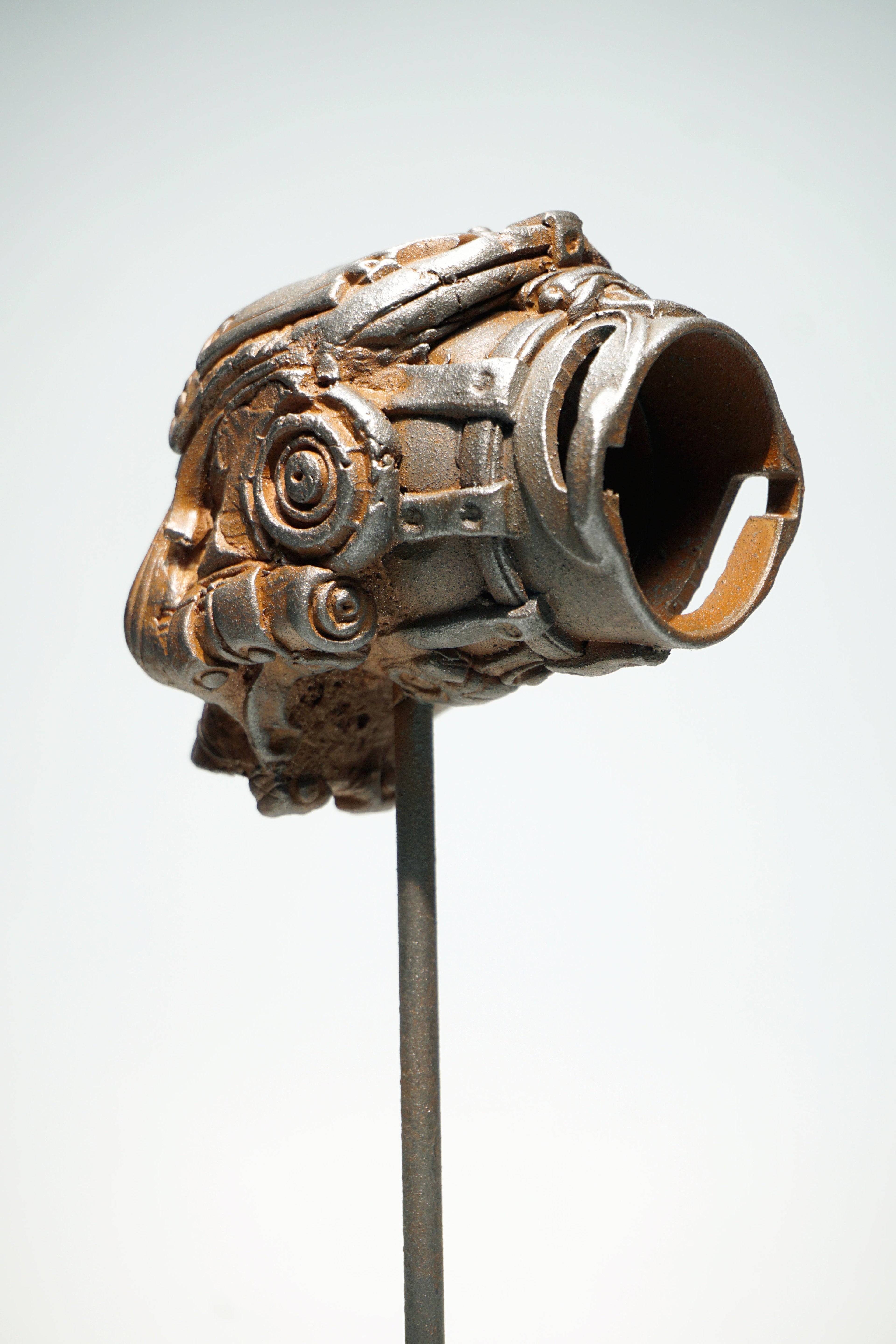 R Skull