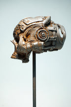 R Skull