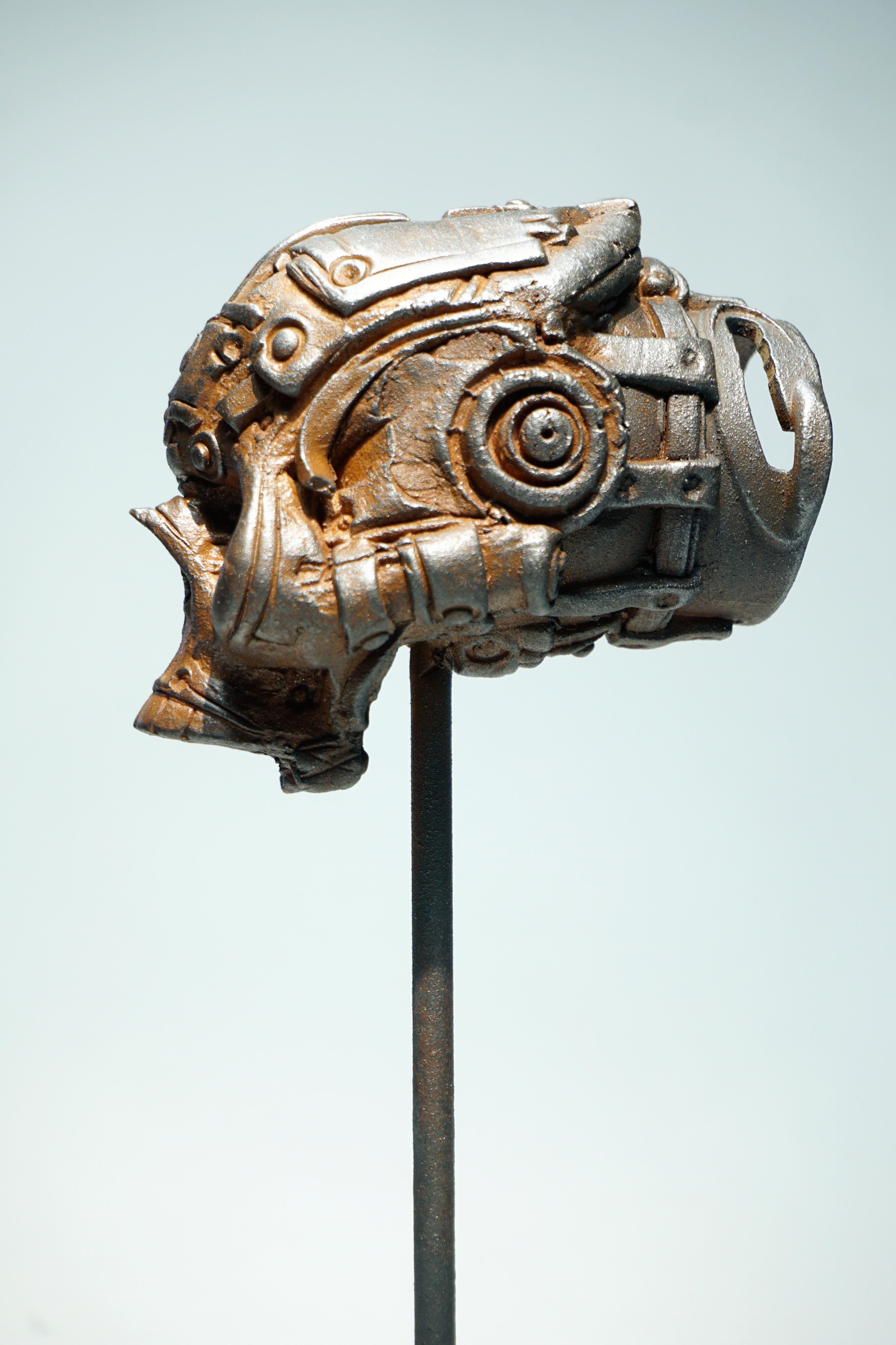 R Skull