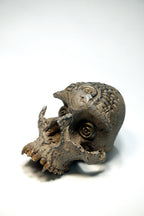 Skull CR1