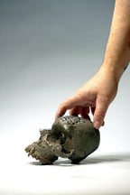 Skull CR1