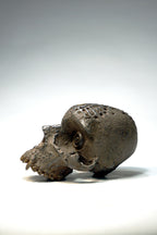 Skull CR1