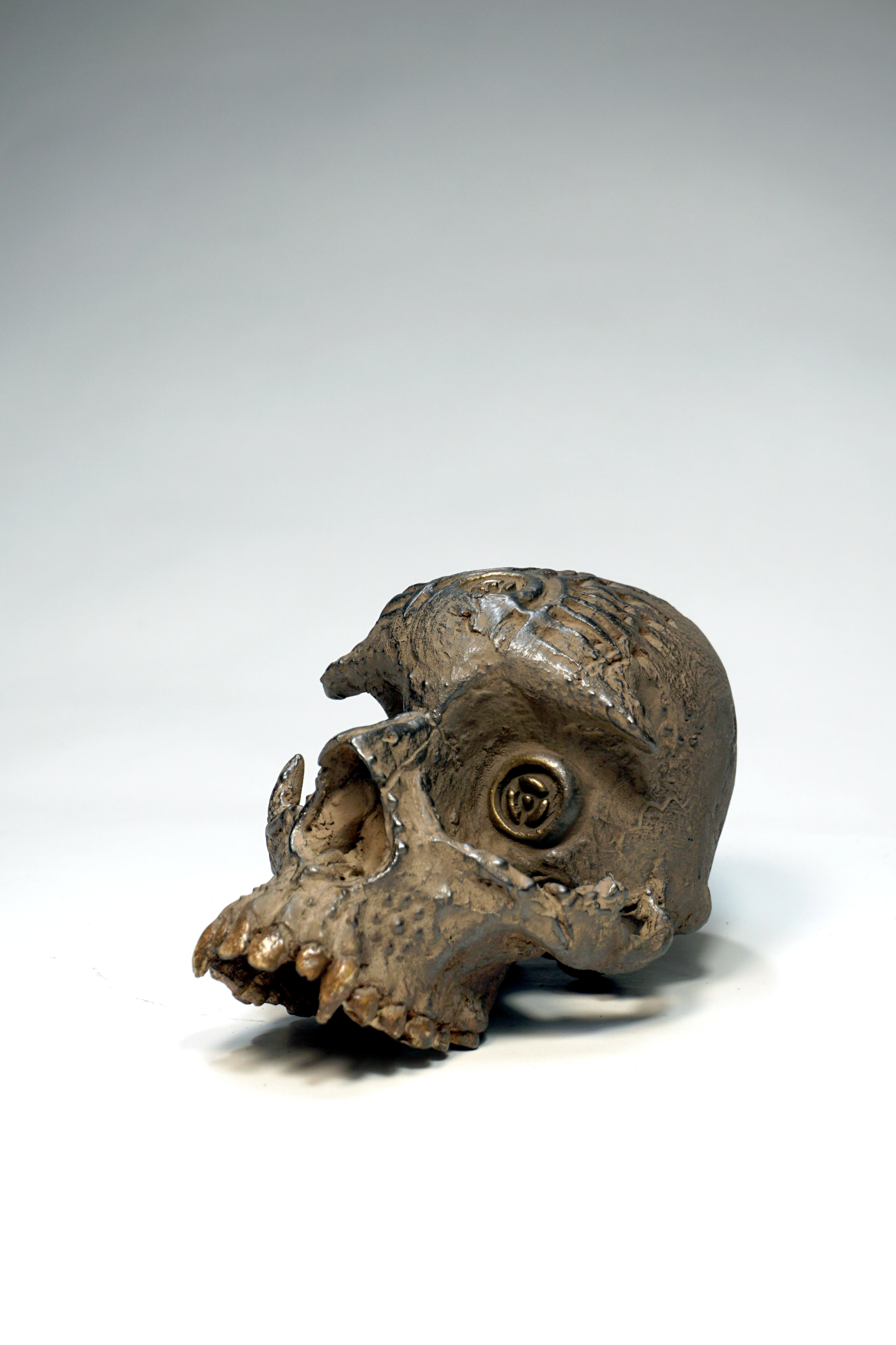 Skull CR1
