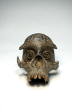 Skull CR1