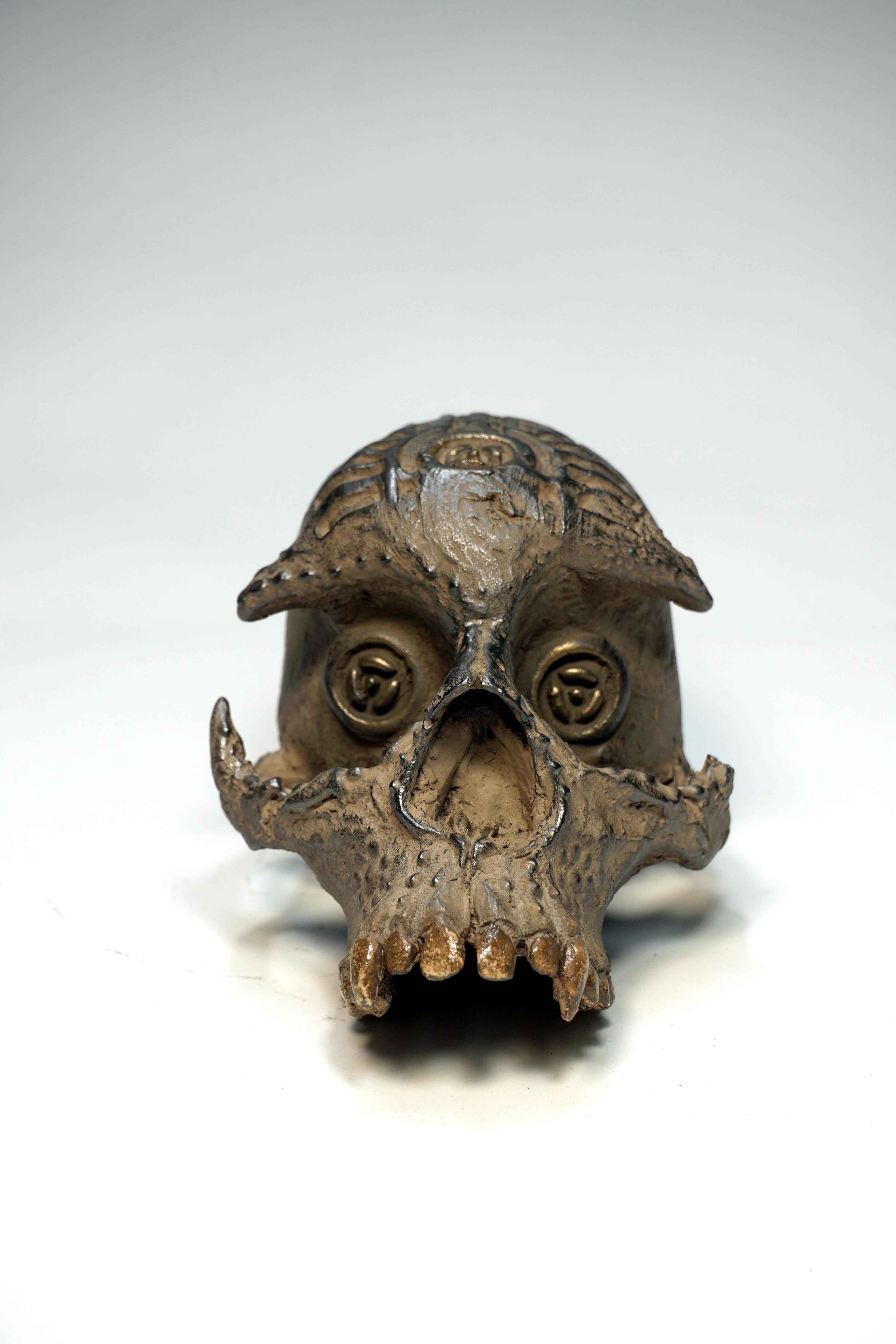 Skull CR1