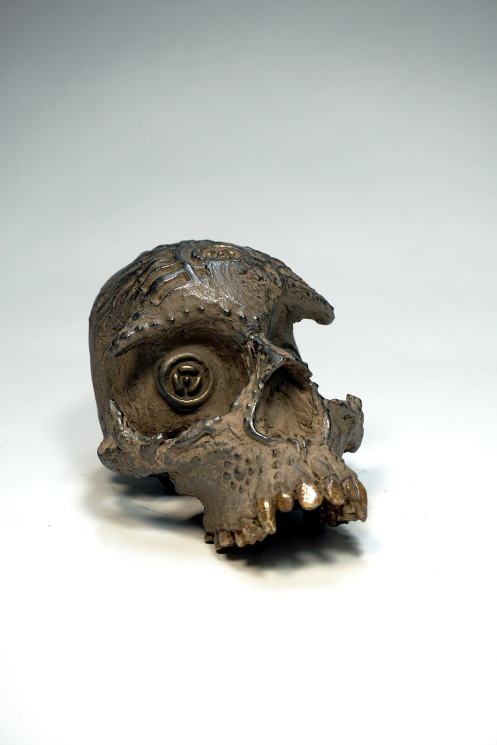 Skull CR1