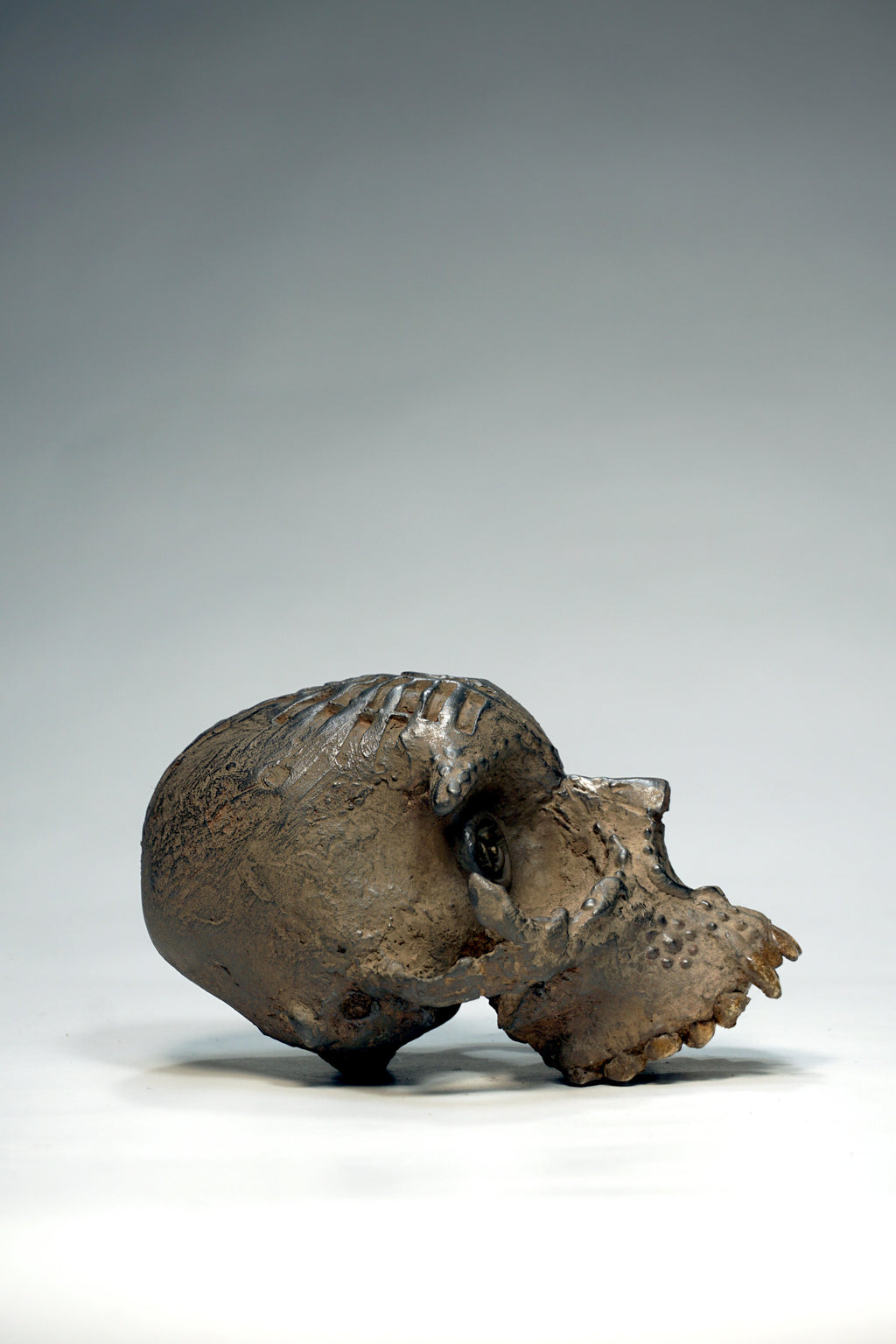 Skull CR1