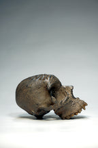 Skull CR1