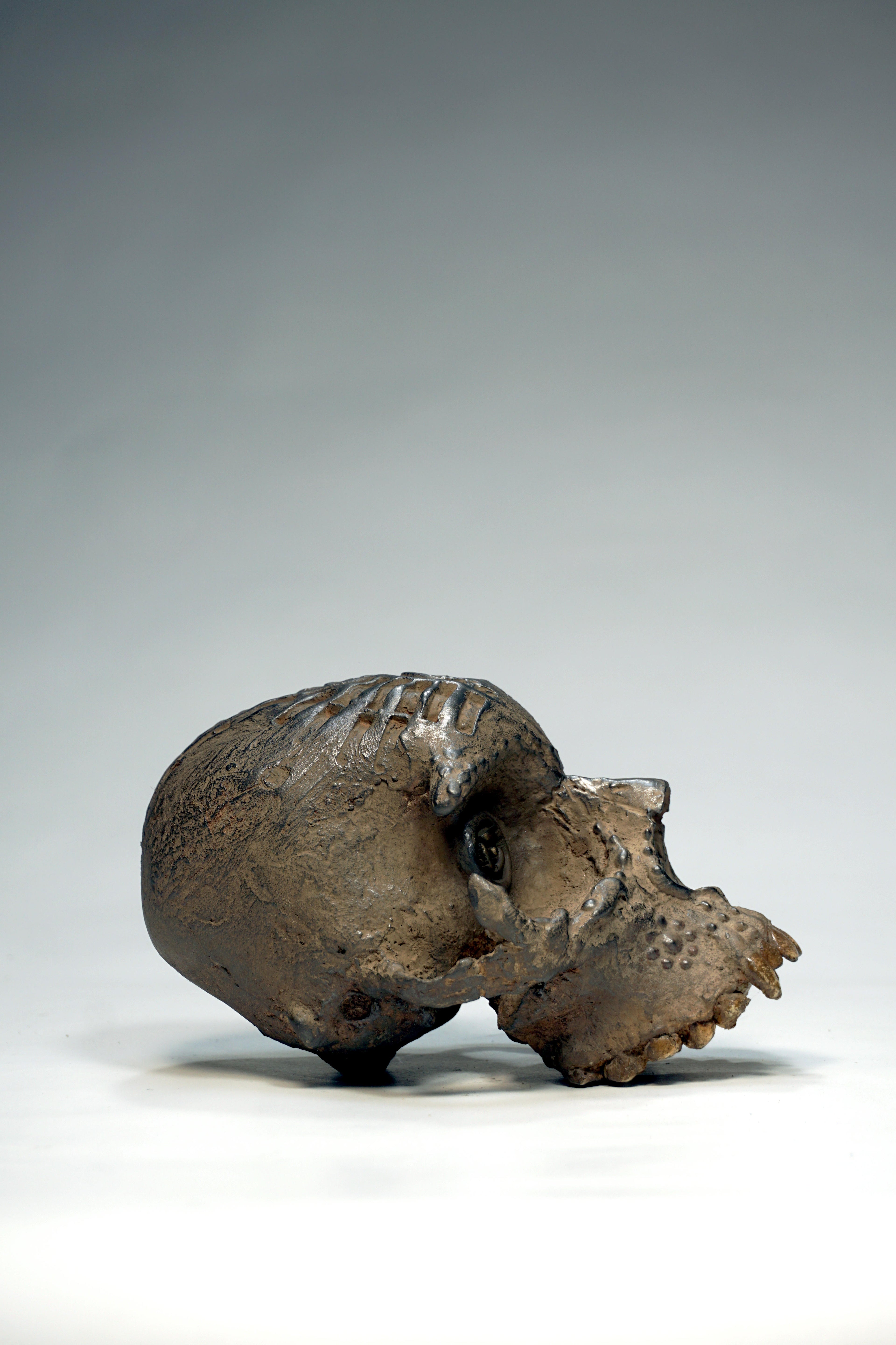 Skull CR1