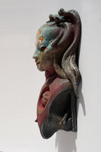 Horn Aurora