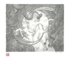 Polvo I — disegno originale