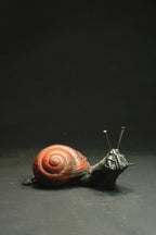 L'Escargot d'Hotteterre