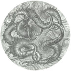 O Ritual IV — desenho original